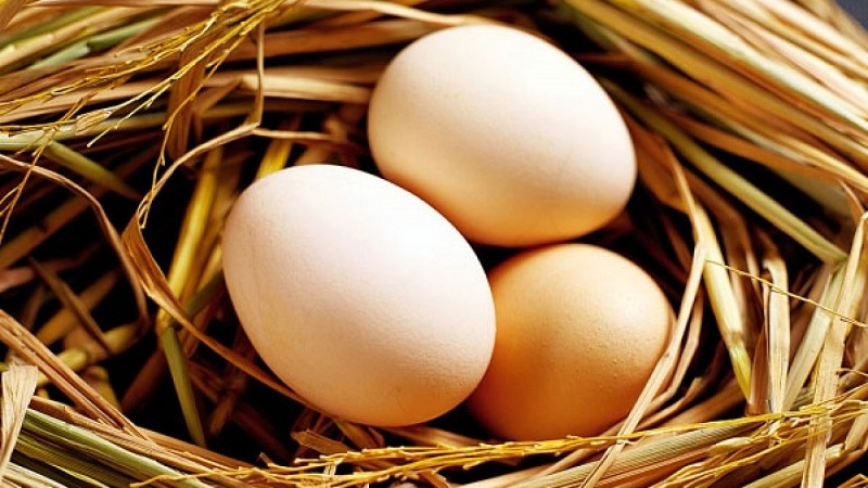 Mơ thấy trứng gà báo hiệu nhiều vấn đề trong cuộc sống